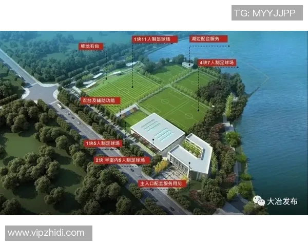 湖北大冶足球明星崛起背后的故事与成就展现 湖北大冶足球明星崛起背后的故事与成就展现